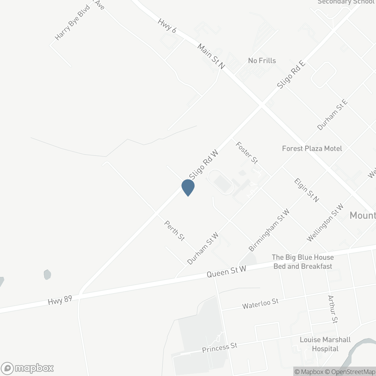 340 SLIGO ROAD W, Mount Forest, Ontario N0G 2L1